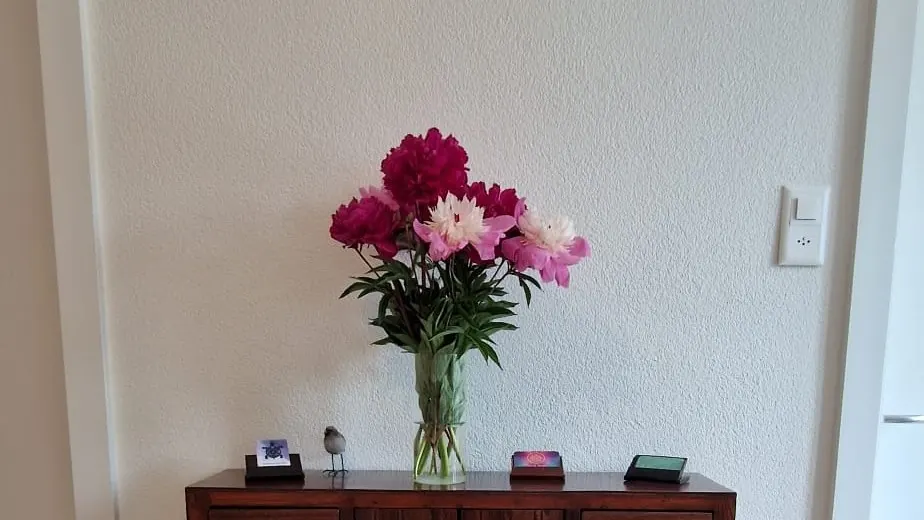 Bouquet de pivoines sur une commode à l’entrée du cabinet